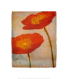 Fiori Art Print by Linda Maron