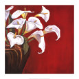 Ann Parr Posters