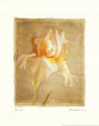 Iris Reproduction d'art par Amy Melious