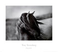 Animaux domestiques (photographies noir et blanc) Posters