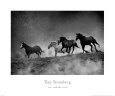 Lauf mit dem Wind Kunstdruck von Tony Stromberg