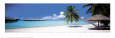 Bora-Bora Affiches