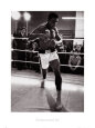Muhammad Ali Training Lámina