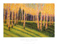Aspen Light, Left Reproduction d'art par Gary Max Collins