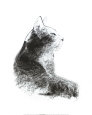 Gatos (Arte decorativa) Posters
