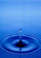Water Drops (Photography) Posters