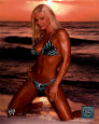 Torrie Wilson #188