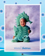 Baby SeaHorse Lámina por Tom Arma