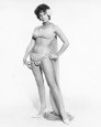  PICTURE GALLERY CELEBRITY 