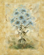 Автор схемы "Flower Decoration - Blue Blooms ". 0. оригинал.