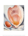 Two Pink Shells, 1937 Art Print by Georgia O'Keeffe