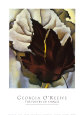 Feuilles (beaux-arts) Affiches