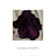 Pétunia mauve, 1925 Reproduction d'art par Georgia O'Keeffe