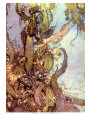 Edmund Dulac Affiches