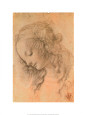 Testa di Giovinetta Lámina por Leonardo da Vinci