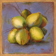 Cocos Pósteres