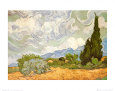 Vehnäpelto ja sypressit (van Gogh) Posters