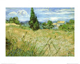 Green Wheat Field with Cypress (van Gogh) Posters