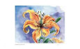 Floral & Botanical (Limited Edition) Posters