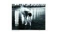 Andre Kertesz Posters