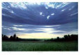 Nubes Pósteres
