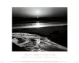 Birds on a Beach Kunsttrykk av Ansel Adams