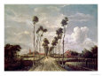 The Avenue at Middelharnis, 1689 Lámina giclée por Meindert Hobbema