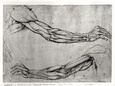 Study of Arms Lámina giclée por Leonardo da Vinci