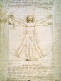 Man van Vitruvius, ca. 1492