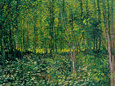 Woods and Undergrowth, c.1887