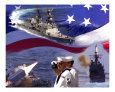 Go Navy Collage