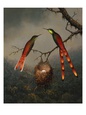 Martin Johnson Heade Posters