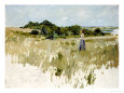 Shinnecock Hills (A View of Shinnecock), 1891 Giclée-Druck von William Merritt Chase