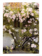 Jardins résidentiels (beaux-arts) Affiches