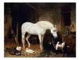 John Frederick Herring I Poster