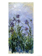 Iris Mauves, 1914-1917 Lámina giclée por Claude Monet
