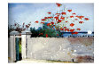 Wall Nassau Giclee Print by Winslow Homer
