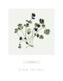 Cilantro Lámina por Nina Farrell