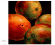 Veracruz Variety