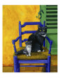 Cats of Provence Chats de Provence