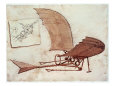 Flying Machine Giclee-vedos tekijänä Leonardo da Vinci