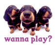 Wanna Play? Reproduction d'art