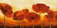 Coquelicots Affiches