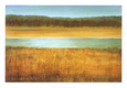 Riverside Reproduction d'art par Caroline Gold