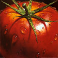 Tomates Pósteres
