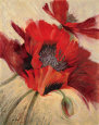 Petal Movement I Art Print by Anne Darnell
