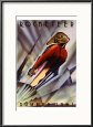 Rocketeer