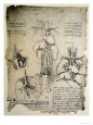 The Heart and the Circulation, Facsimile of the Windsor Book reproduction procédé giclée par Leonardo da Vinci