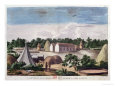 Francois Le Vaillant Pósteres