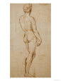 Study of David, after Michelangelo Lámina giclée por Raphael